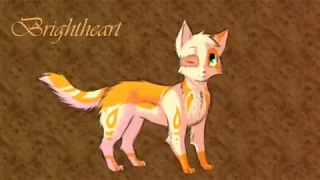 Top Ten Cutest Warrior Cat Characters(which only includes the adult cats and apprentices)