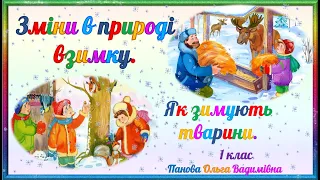 Зміни в природі взимку. Як зимують тварини. Я досліджую світ. 1 клас.