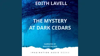 Chapter 10: Night At Dark Cedars