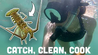 Catch Clean Cook - Florida Spiny Lobster