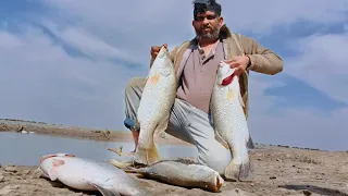 Karachi Mangroves Fishing | Dangri / Baramundi Fishing |  Fishing in Karachi 2024 | Karachi fishing