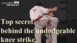 TOP SECRET behind the undodgeable upper knee strike