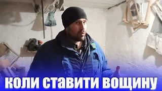 Коли ставити вощину бджолам весною. Коли бджоли будуть будувати вощину на рамках