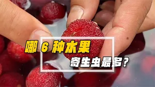 盤點寄生蟲最多的6種水果，草莓根本沒資格出現，榜首幾乎都吃過