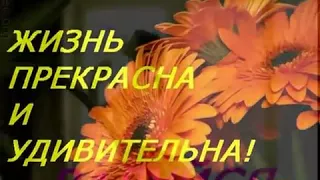 Девиз жизни