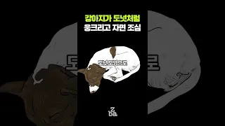 강아지가 도넛처럼 웅크리고 자는 이유 #동물