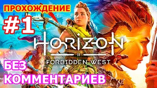 Horizon Forbidden West Прохождение без комментариев #1 - Первые 12 Часов Игры Хорайзн 2