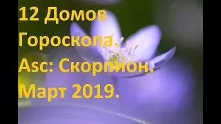 Asc: Скорпион. Март 2019. 12 Домов Гороскопа.