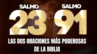 🕊SALMO 23 Y SALMO 91 LAS DOS ORACIONES MÁS PODEROSAS DE PROTECCIÓN DE LA BIBLIA 🙏 🕊#salmo91 #salmo23