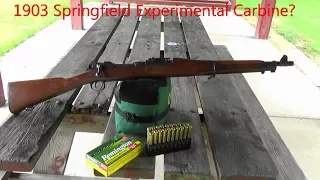 1903 Springfield Experimental Carbine