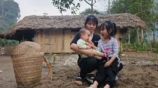 Harvest cauliflower to sell at the market - take care of two children abandoned by their parents