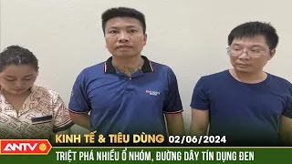 Bản tin kinh tế & tiêu dùng 2/6: Khởi tố 13 đối tượng hoạt động “tín dụng đen” tại Thanh Hoá | ANTV