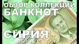 Банкнота Сирии 1000 фунтов 1997 г. Асад. The collection banknotes. #Самые #красивые банкноты мира.