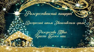 Рождественский концерт Воскресной школы Звениговского храма.