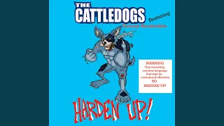 Harden Up! (feat. Tommy Raudonikis)