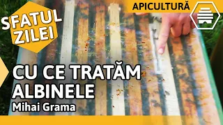 CU CE TRATĂM ALBINELE în plin sezon apicol - Mihai Grama [Sfatul zilei 05.06.2020]