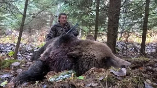 ОХОТА НА МЕДВЕДЯ С ЛАЙКАМИ В ТАЙГЕ ЮЖНОГО УРАЛА