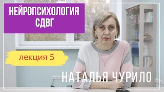 Нейропсихология СДВГ  || лекция 5/5 || Наталья Чурило