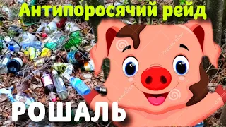 Антипоросячий рейд. Сделаем мир чище. г.о. Рошаль