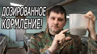 ДОХНУТ КРОЛИКИ на дорогих кормах!!