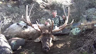 340" Archery Arizona Elk Hunt - Stuck N the Rut 93