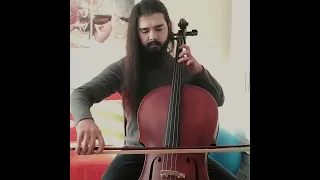 Walt Adams - Mirrored Seduction Cello cover