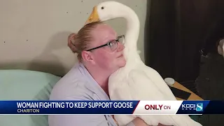 Chariton, Iowa woman battles city over emotional support goose: 'He's the light of my day'