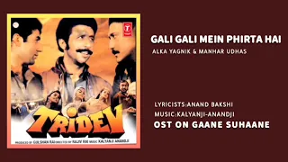 GALI GALI MEIN PHIRTA HAI [TRIDEV] ALKA YAGNIK & MANHAR UDHAS |KALYANJI ANANDJI| ANAND BAKSHI