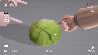 (MMD Vine) Cabbage or Lettuce?