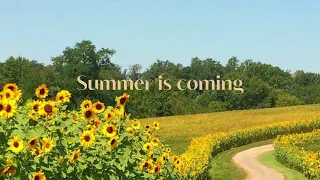 [Playlist] Summer is coming.