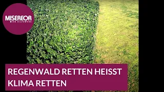 Regenwald retten heißt Klima retten: Gerecht ist klüger