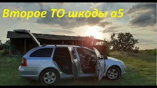 Сколько стоит небольшое ТО Шкоды Октавия а5.