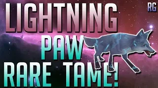 Taming Lightning Paw! Finally Rare Pet | World of Warcraft