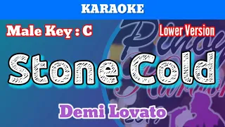 Stone Cold by Demi Lovato (Karaoke : Male Key : Lower Version : C)