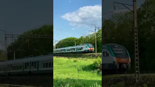 Beautiful Belarusian train Stadler