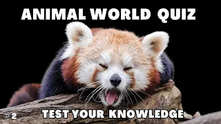 Test Your Knowledge | Amazing Animals  Quiz | Quiz No.2