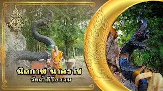 ตามรอยพญานาค สัมผัสนิลกาฬ วัดถ้ำคีรีธรรม กาญจนบุรี | คน-หัว-นาค |ພະຍານາກ