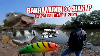 Barramundi@Siakap Rempit | Minnow Crown Tiger Gewang Viral Masa Kini Casting Siakap