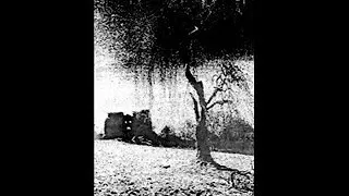 Pagan Winter - In the Shadowlands
