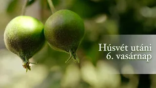 Húsvét utáni 6. vasárnap (Exaudi)