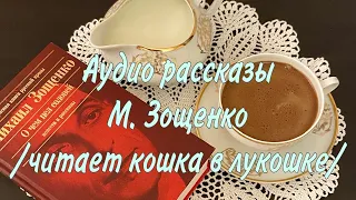 Михаил Зощенко. Аудио рассказы