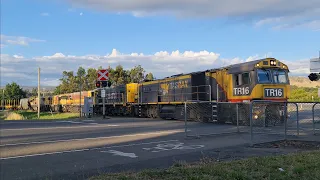 TasRail TR16 2006 2009 2051 2054 #53 train crossing Johnston Road