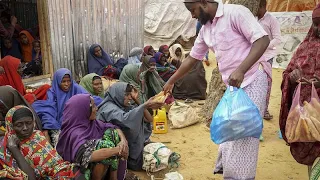 FAO-Alarm: Die Welt kriegt den Hunger nicht in den Griff