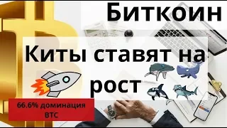 Биткоин Киты серьёзное сокращение шортов и $17 000 за Bitcoin в конце августа?