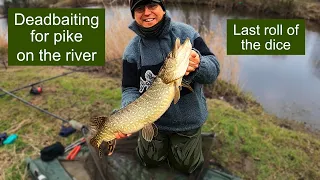 Deadbaiting for pike on the river