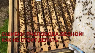 ОШИБКИ ПЧЕЛОВОДА ВЕСНОЙ выравнивать пасеку спасать усилят слабые зимовалые пчелиные семьи не стоит☝️