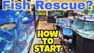 Advice For Starting A Non-Profit Fish Rescue Part 1