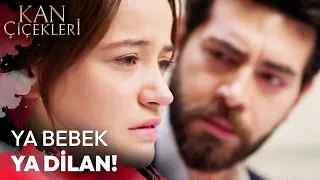 Dilan Hayatını Kaybetmekle Karşı Karşıya! - Kan Çiçekleri 302. Bölüm