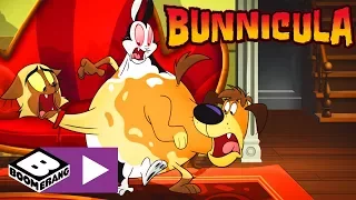 Bunnicula | Gemeinsinn | Cartoonito