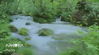 One Hour of Relaxing Piano with Water Sounds and Images | Erik Satie | Gymnopedie | Aphoria Music